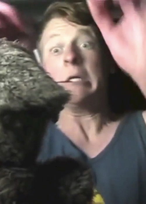 Rodentia (2012) poster