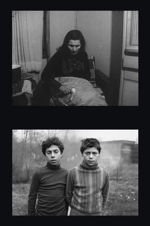 Zigeuner in Duisburg (1980) poster