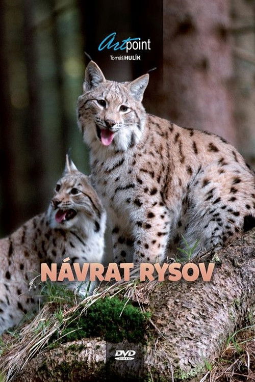 Návrat rysov (2010) poster