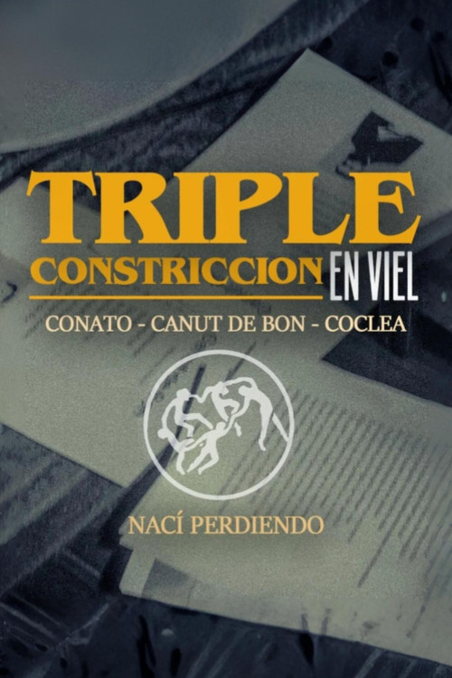 TRIPLE CONSTRICTION IN VIEL (2025) poster
