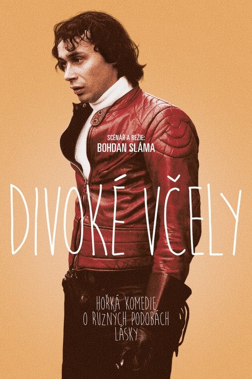 Divoké včely (2001) poster