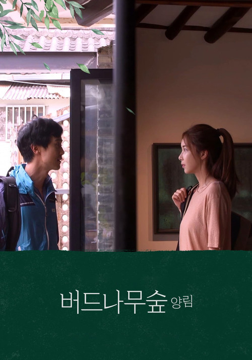 Willow Tree Forest Yangnim (2021) poster