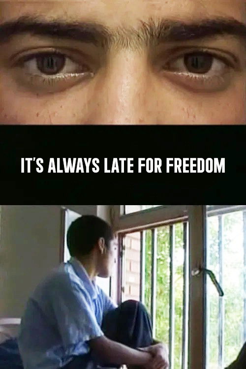 It's Always Late for Freedom (2007) poster