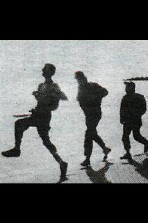 SSL-25 (Special Squad Laugarnesvegur 25) (1989) poster