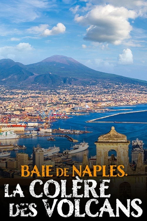 Baie de Naples, la colère des volcans (2020) poster