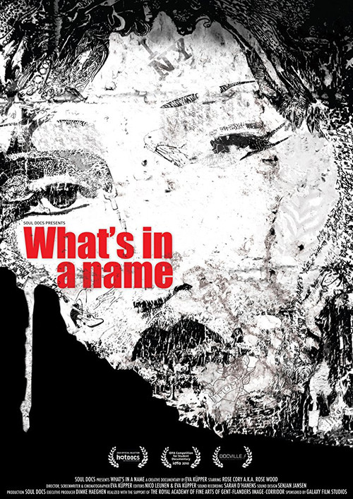 What's in a Name (2009) poster