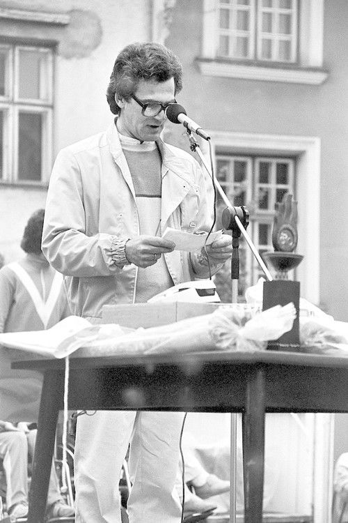 Hagi Šein. In the Best Possible Way poster