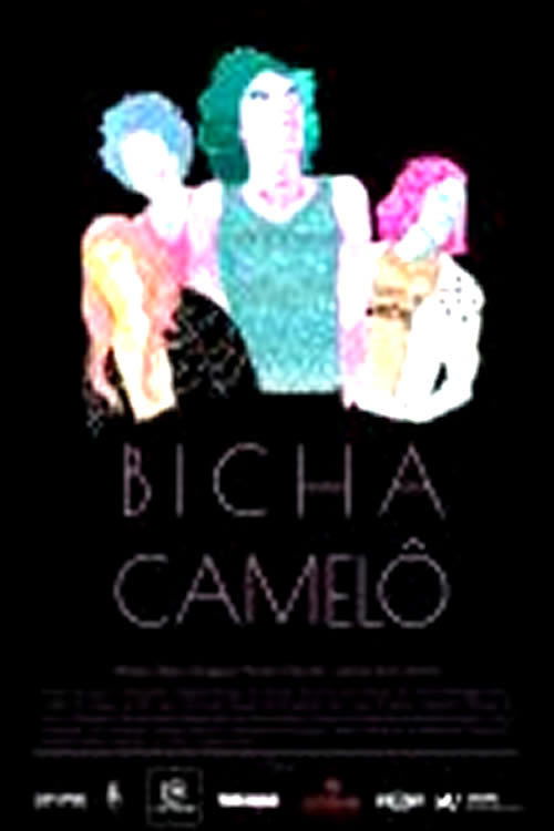 Bicha Camelô (2017) poster