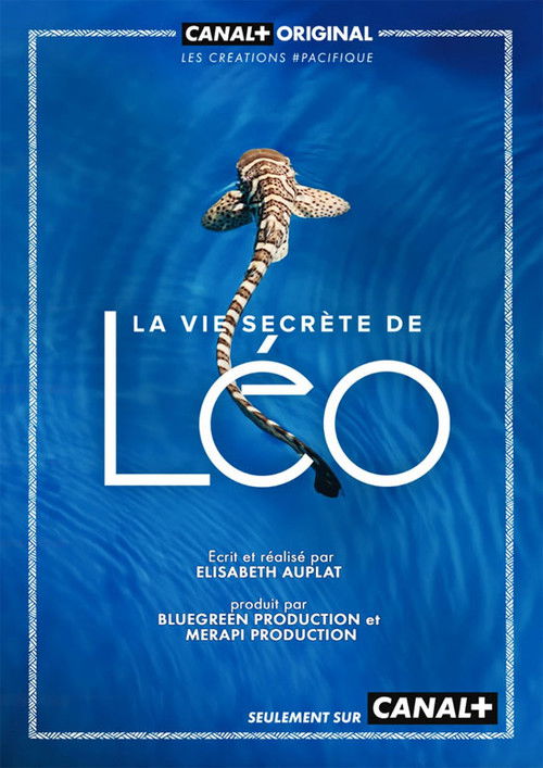 La Vie secrète de Léo poster
