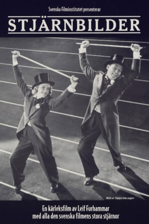 Stjärnbilder (1995) poster