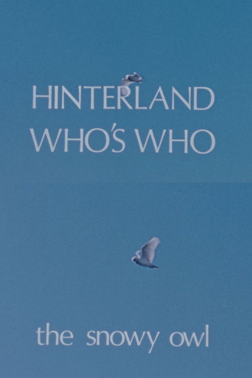 Hinterland Who's Who: The Snowy Owl (1973) poster