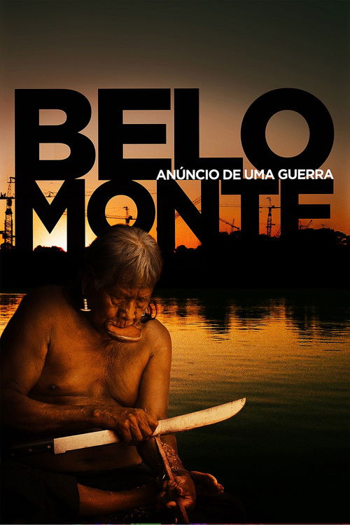 Belo Monte: Announcement of a War (2012) poster