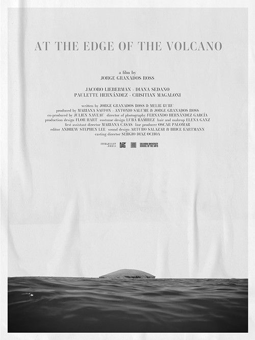 At the Edge of the Volcano (2025) poster