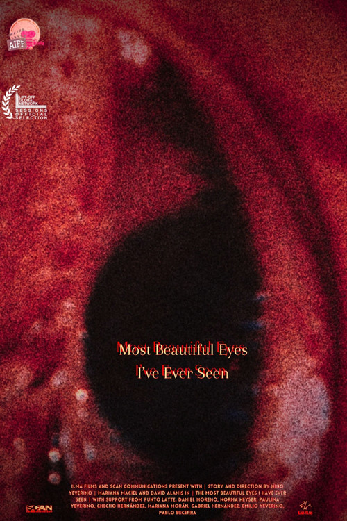 Most Beautiful Eyes I've Ever Seen (2024) poster
