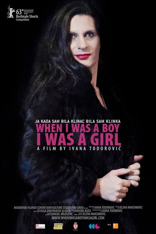 When I Was a Boy, I Was a Girl (2013) poster