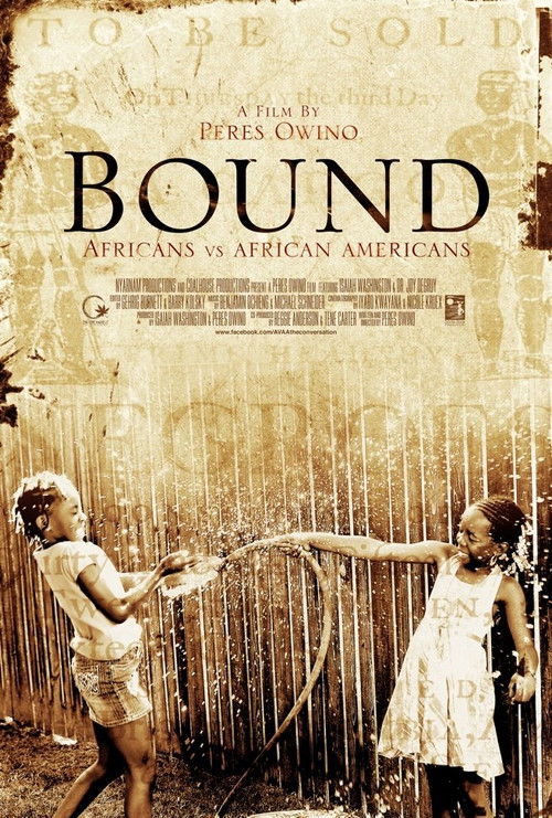 Bound: Africans Versus African Americans (2015) poster