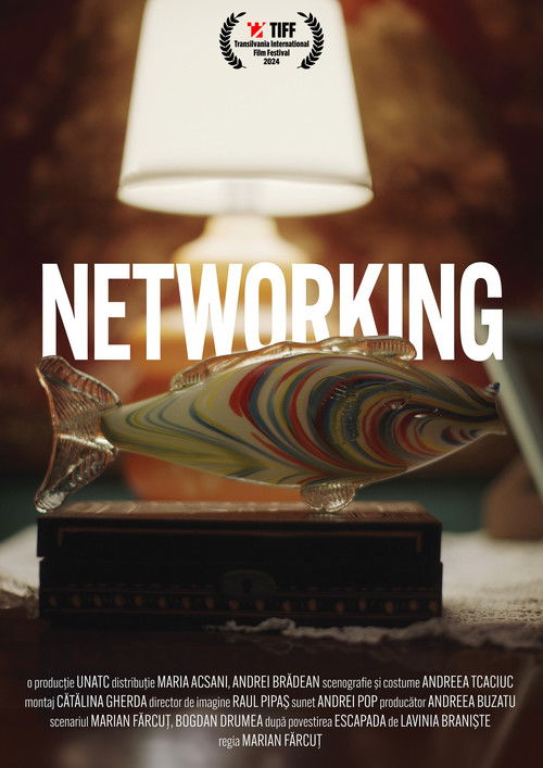 Networking (2025) poster