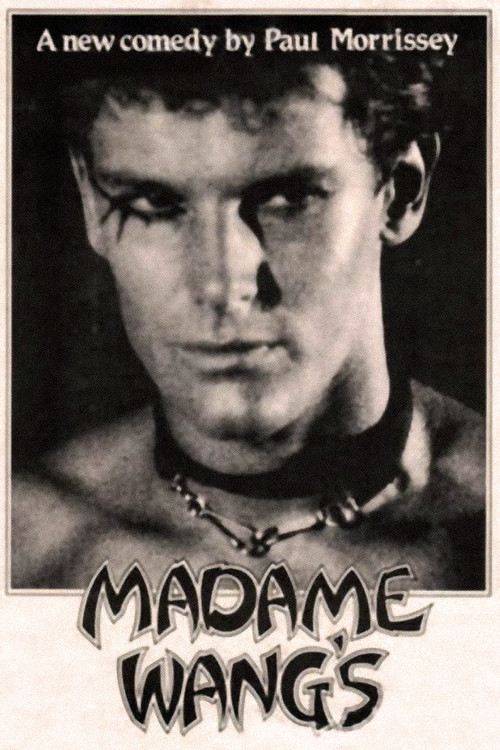 Madame Wang's (1996) poster