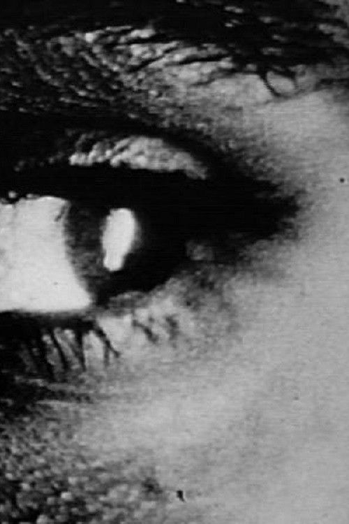 Girls Daydream About Hollywood (1992) poster