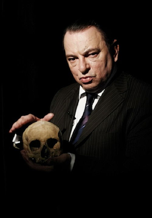 Comment survivre à une attaque zombie (2011) poster