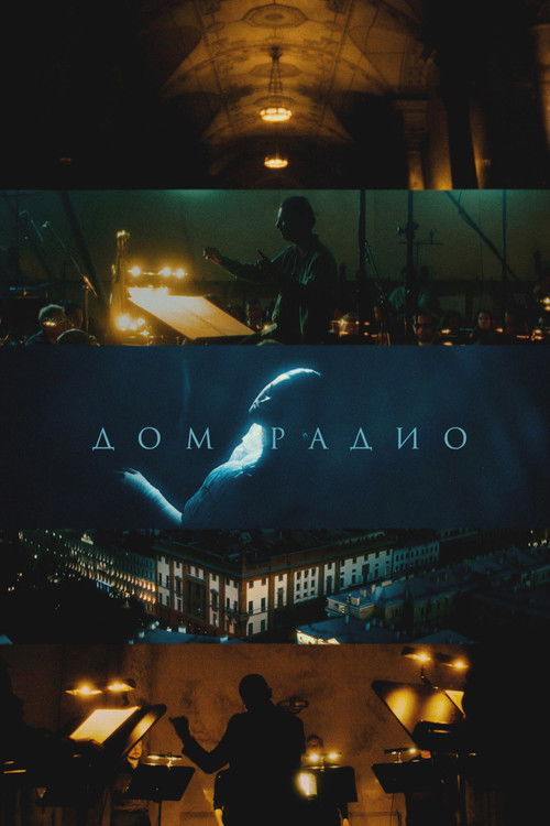 Дом радио (2025) poster