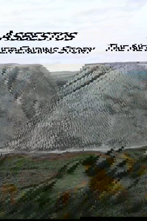 Asbestos: The Never-Ending Story (2022) poster