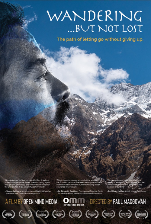 Wandering...But Not Lost (2021) poster