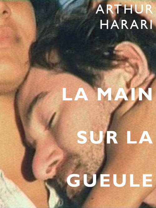 La main sur la gueule (2007) poster
