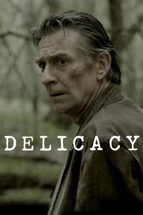 Delicacy (2013) poster