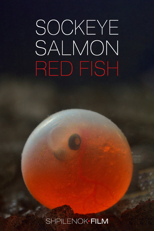 Sockeye Salmon. Red Fish (2020) poster