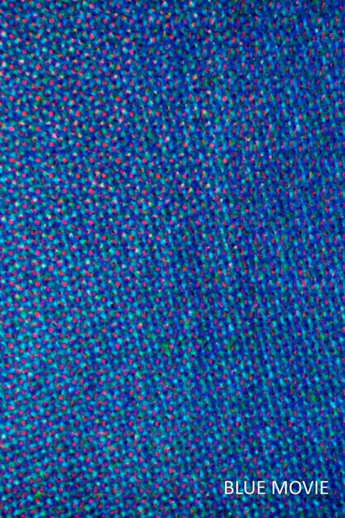 Blue Movie (2014) poster