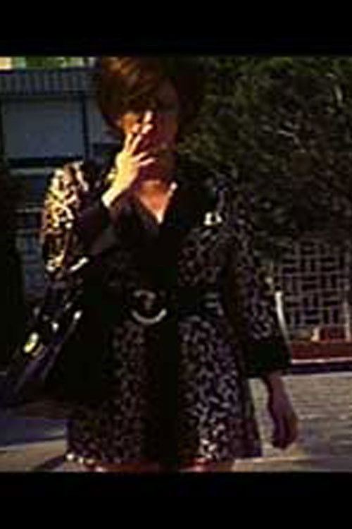 A Good Mother (2008) poster