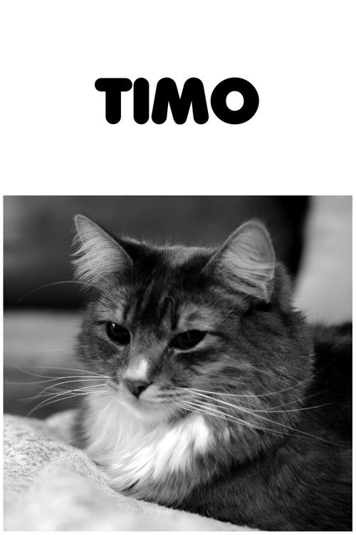 Timo (2020) poster