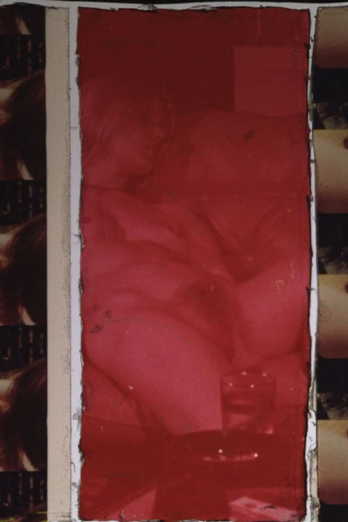 EROGRAPHIE (2024) poster