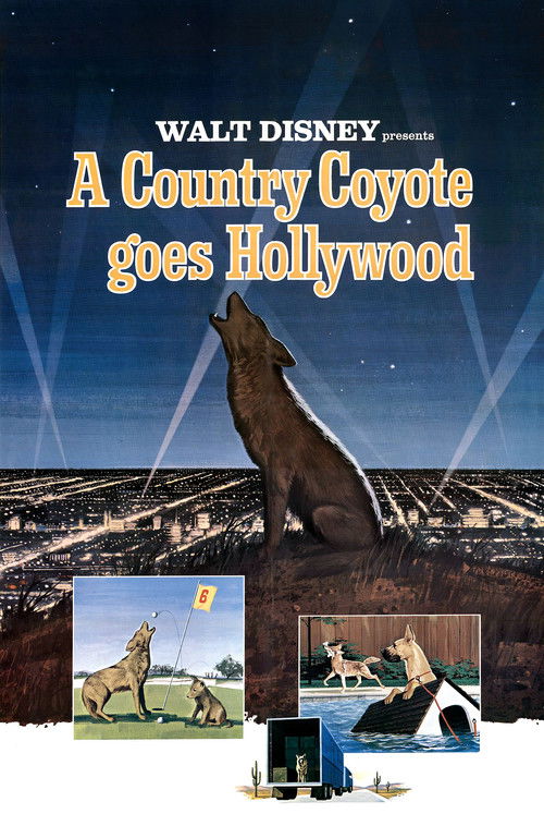 A Country Coyote Goes Hollywood (1965) poster