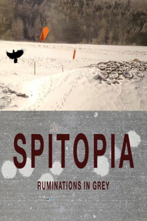 Landscapes (2013) poster