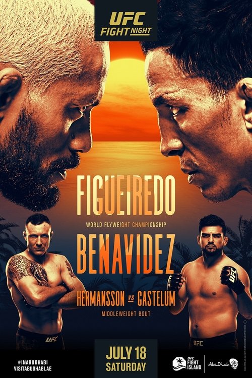 UFC Fight Night 172: Figueiredo vs. Benavidez 2 (2020) poster