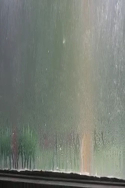 Fogged Windows (2013) poster