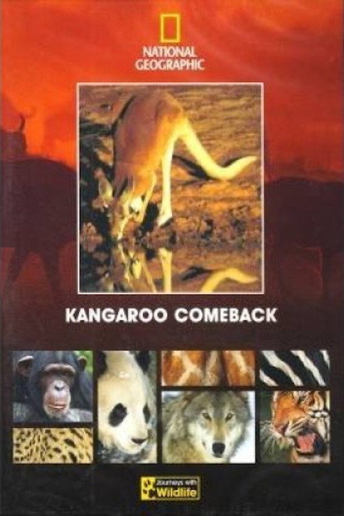 Kangaroo Comeback (1998) poster