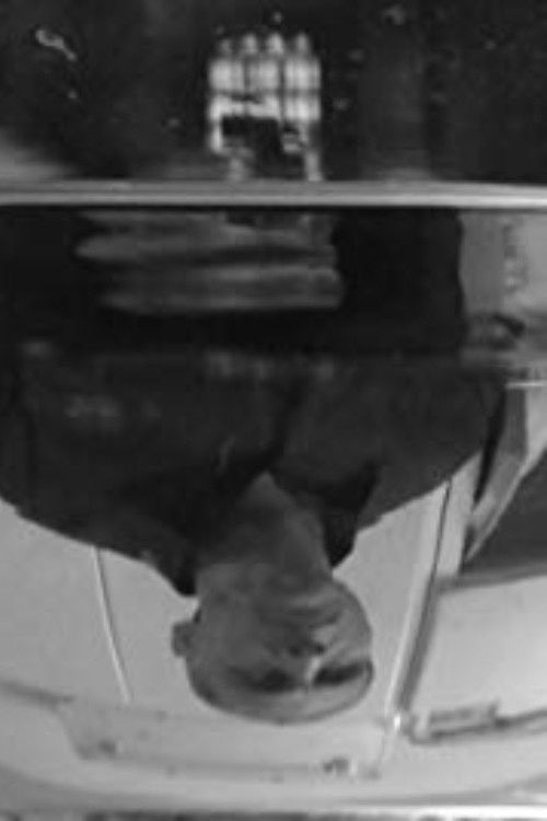 ماهی و من (2014) poster