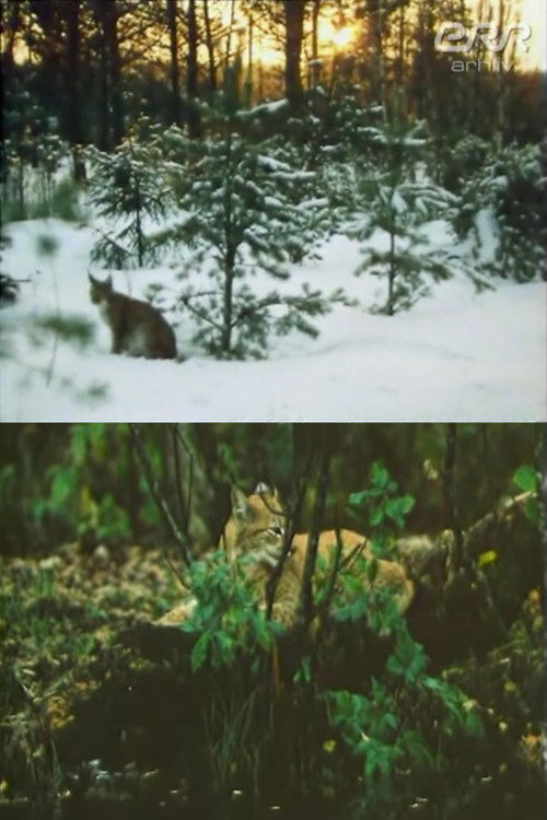 The Story of Ilves (1988) poster