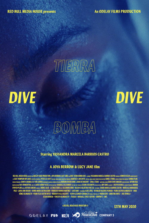 Dive Tierra Bomba Dive poster