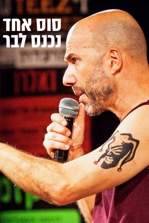 A horse walks into a bar (2017) poster