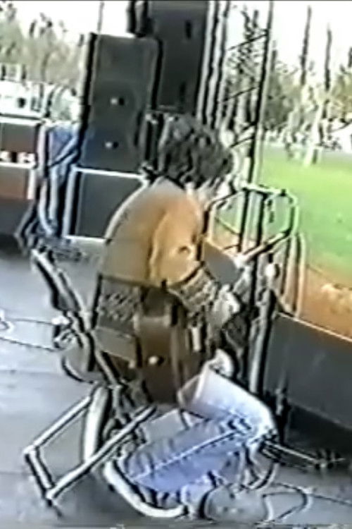 John Frusciante Live at the Denison University in Granville, Ohio (1997) poster