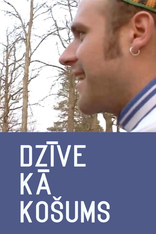 Dzīve kā košums (2006) poster