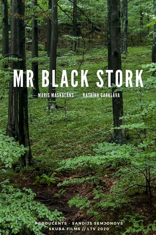Mr Black Stork (2020) poster