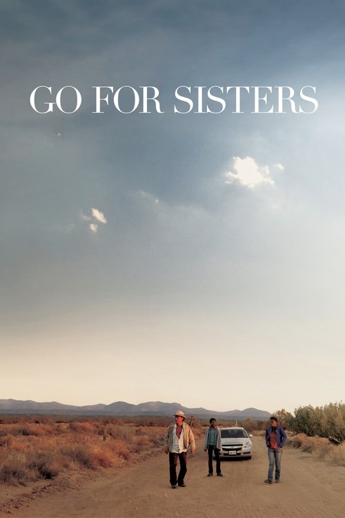Go for Sisters (2013) poster