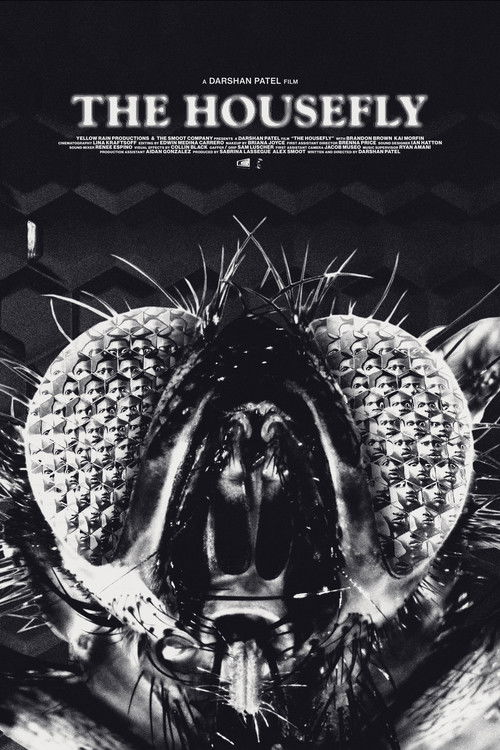 The Housefly (2023) poster