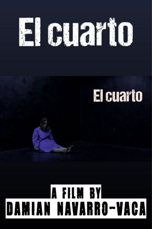 The room (2023) poster