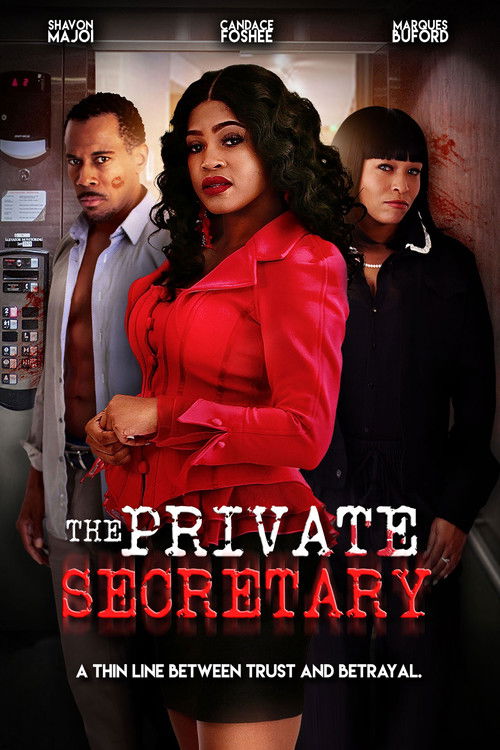 The Private Secretary (2024) poster